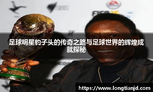 足球明星豹子头的传奇之路与足球世界的辉煌成就探秘